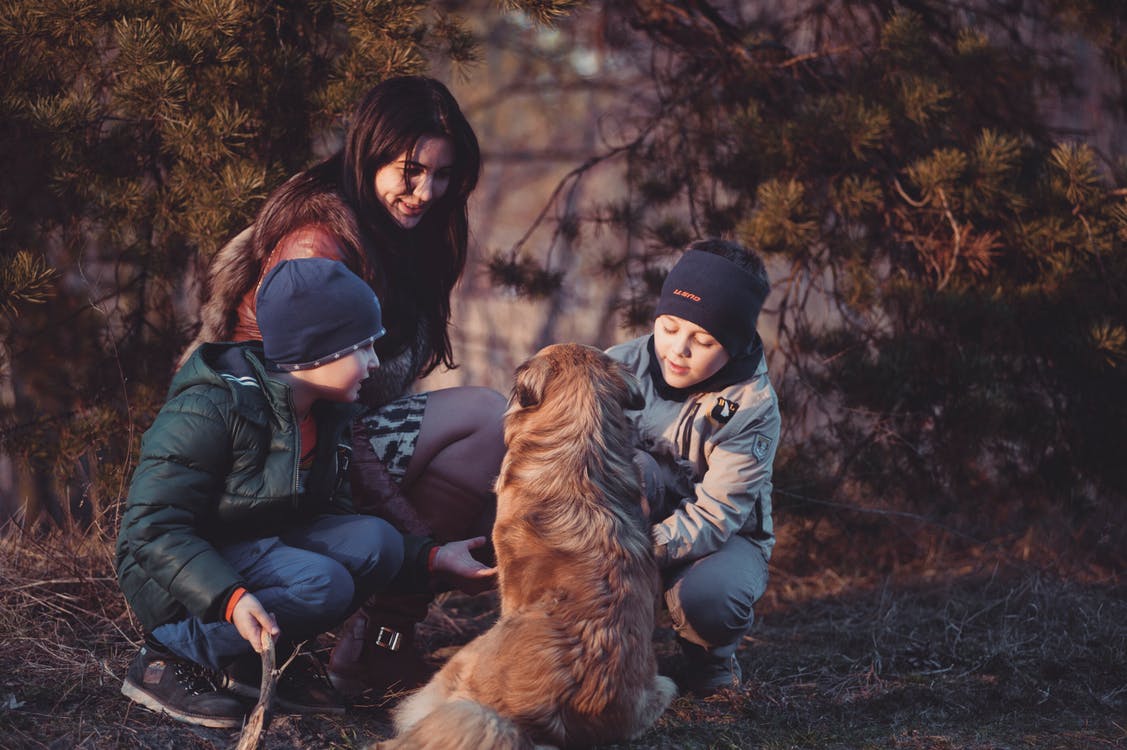 explaining-the-death-of-a-pet-to-your-child-witsend-dog-training