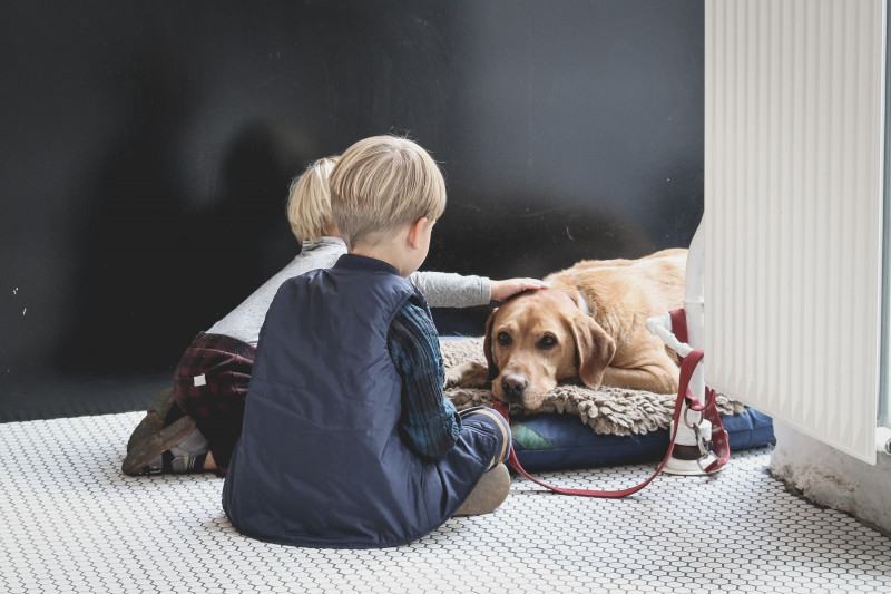 Teaching dogs to be around children