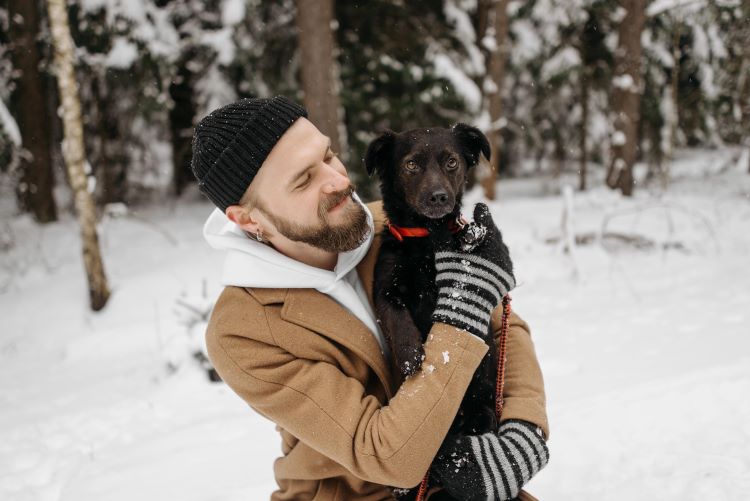 Winter care tips for dog