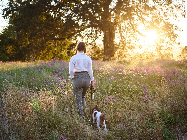 how often do dogs need sunlight